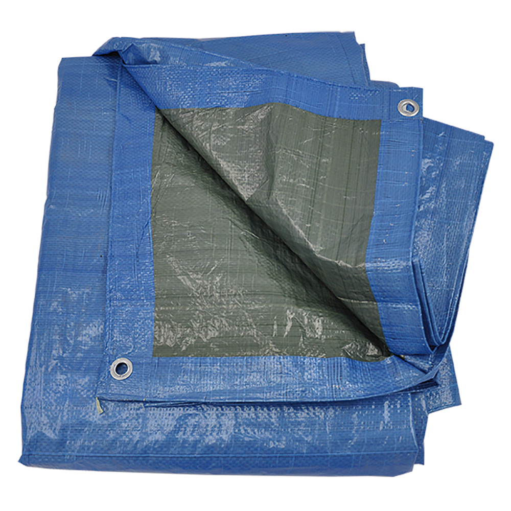 Image of Telone occhiellato 10 x 12 m - 80 gr/mq