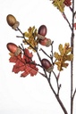 Ramo di quercia rustica per decorazione casa