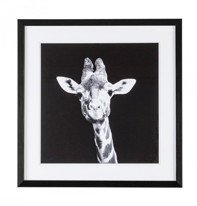 Main Image for Quadro decorativo 49x49 cm