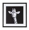 Main Image for Quadro decorativo 49x49 cm