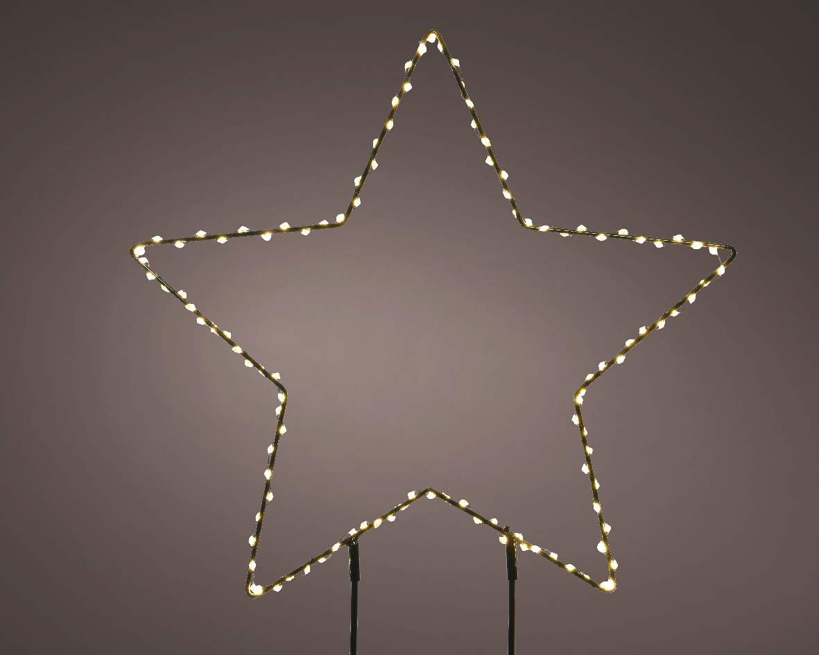 Luce da giardino a pianta Micro LED stella fissa per esterni L 0.6 x Ø 38 cm