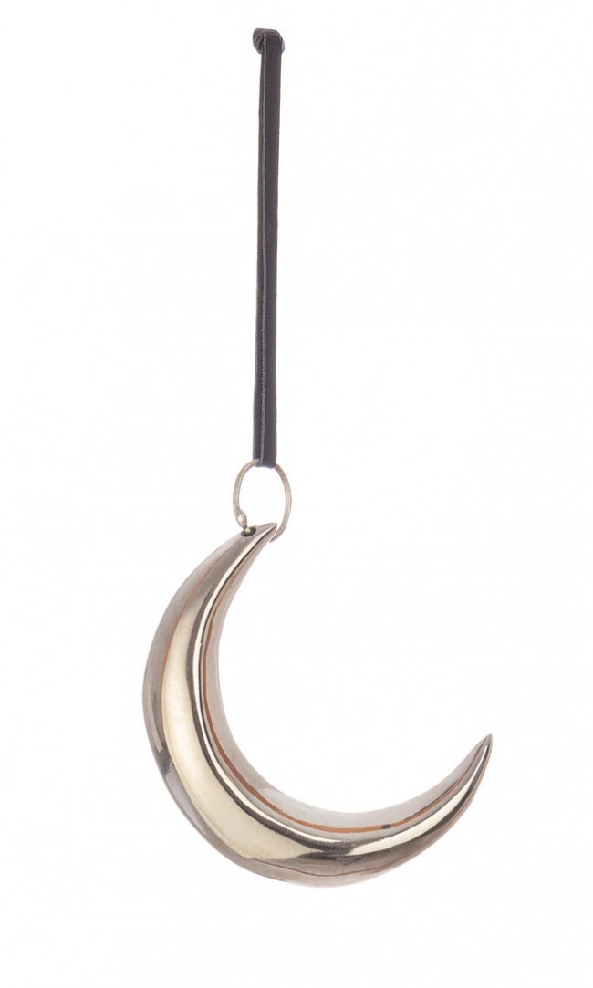 Image of 12x Pendaglio Shannon Luna Argento 12X9H
