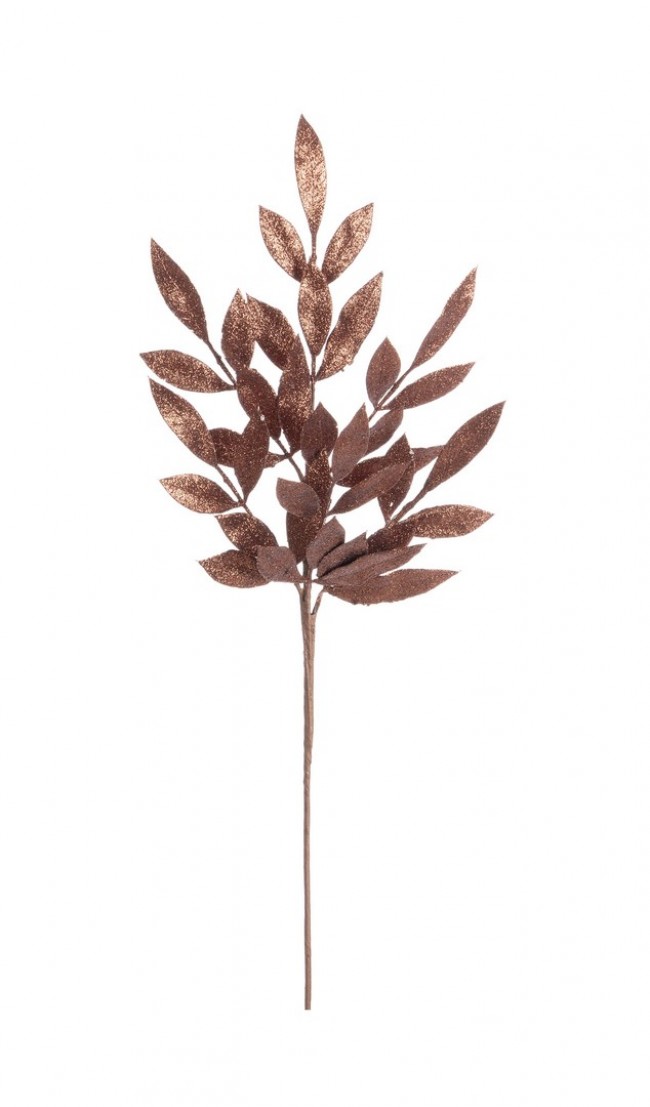 Image of 12x Ramo Nathan Marrone H70Cm