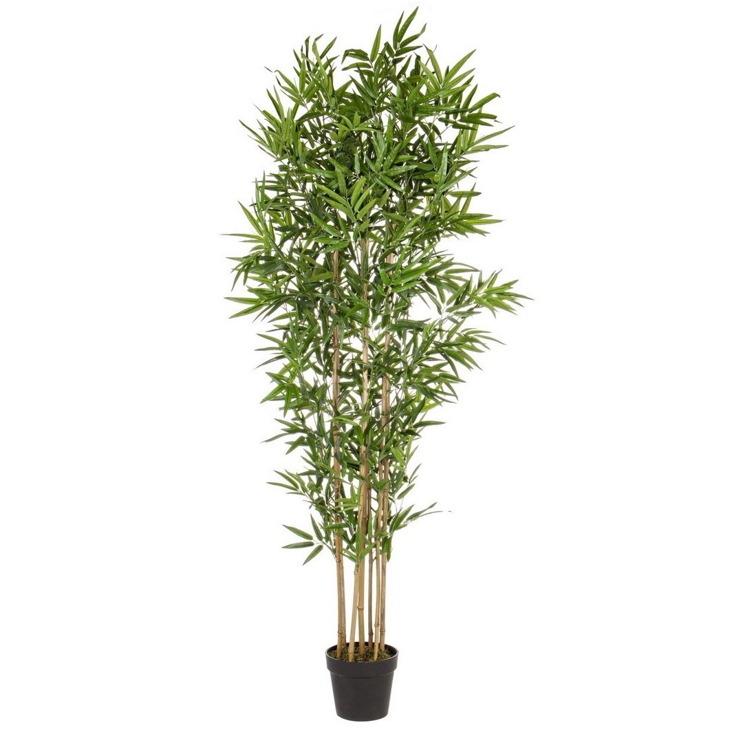 2x Pianta decorazione casa in bamboo con vaso 185h cm