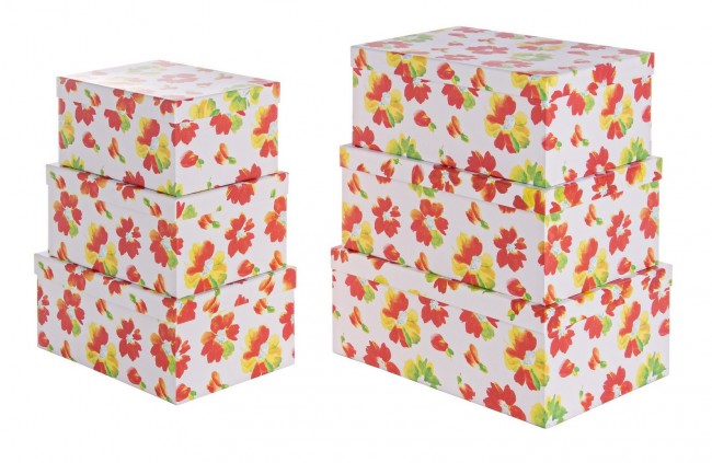 Image of 2x Scatola primula opaco 28x19,5x13h - 40x28x15,5h