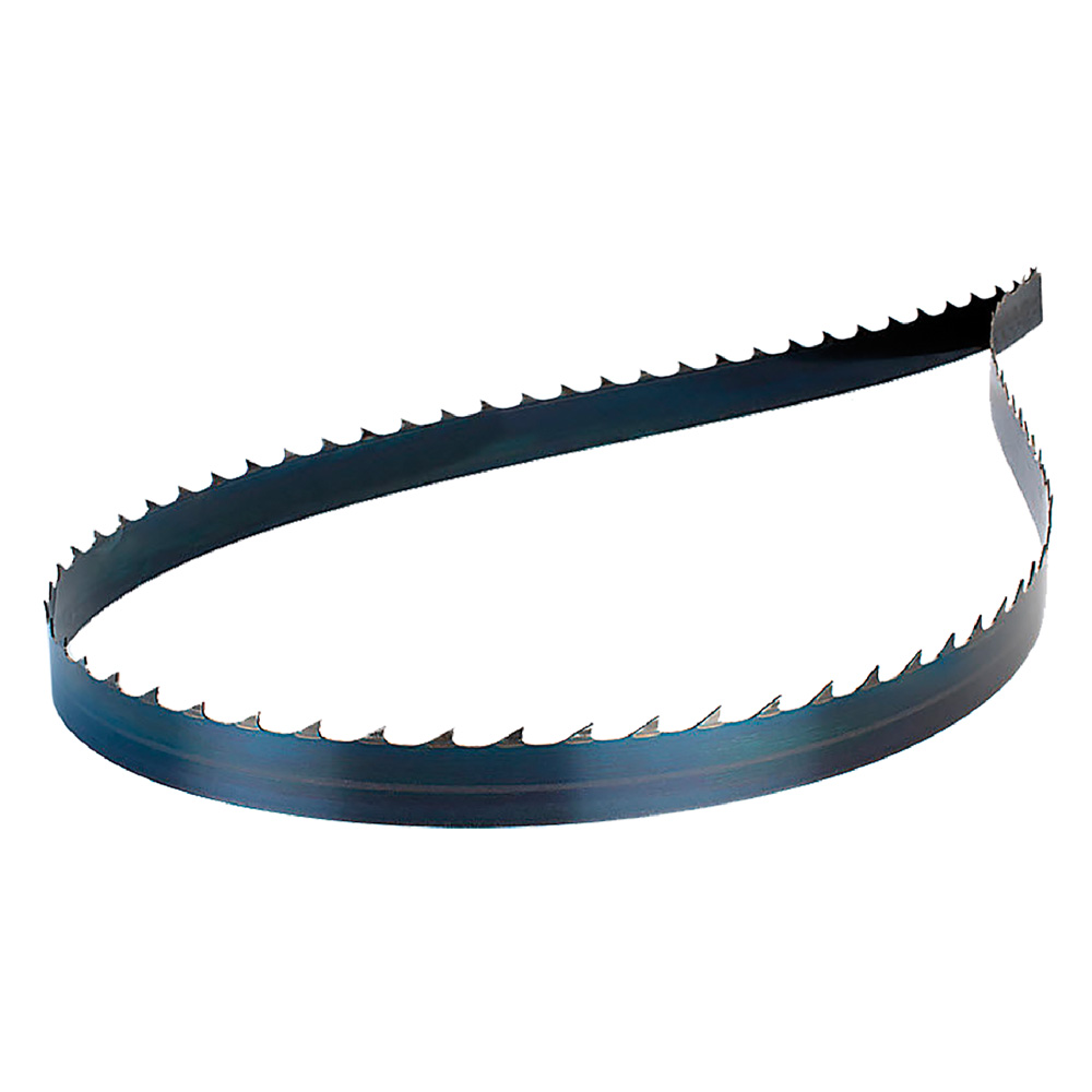 Image of Lama A Nastro Per Segatrici Legno Mm 1790 X 10 X 0,35 - Dentat. Z6