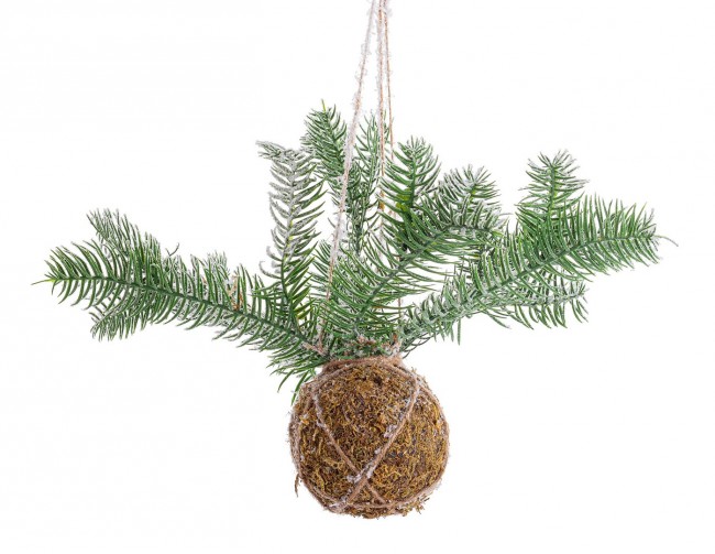 Decorazione sfera kokedama pino D5