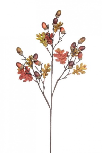 [BIZ0172358] Ramo di quercia rustica per decorazione casa